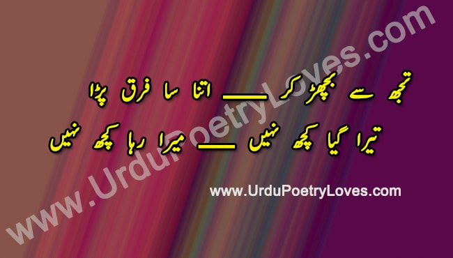 Bicharna poetry urdu sad Judai, Bichadne wali poetry And shayari